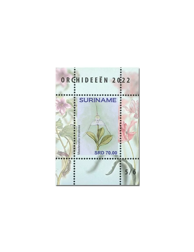 n°  189 à 194 - Timbre SURINAM Blocs et feuillets