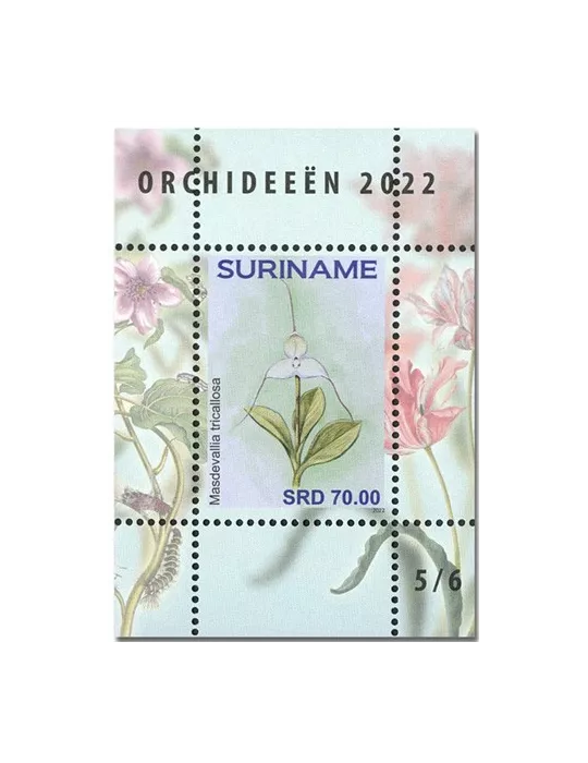 n°  189 à 194 - Timbre SURINAM Blocs et feuillets