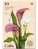 n° C3794 - Timbre CANADA Carnets