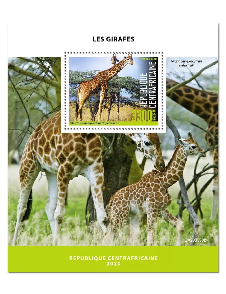 n° 1685  - Timbre CENTRAFRIQUE Blocs et feuillets