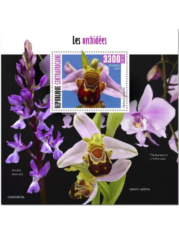 n° 1702  - Timbre CENTRAFRIQUE Blocs et feuillets