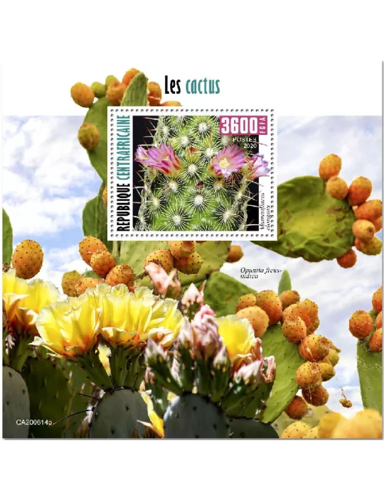 n° 1703  - Timbre CENTRAFRIQUE Blocs et feuillets