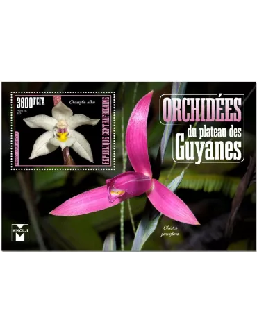 n° 1742  - Timbre CENTRAFRIQUE Blocs et feuillets