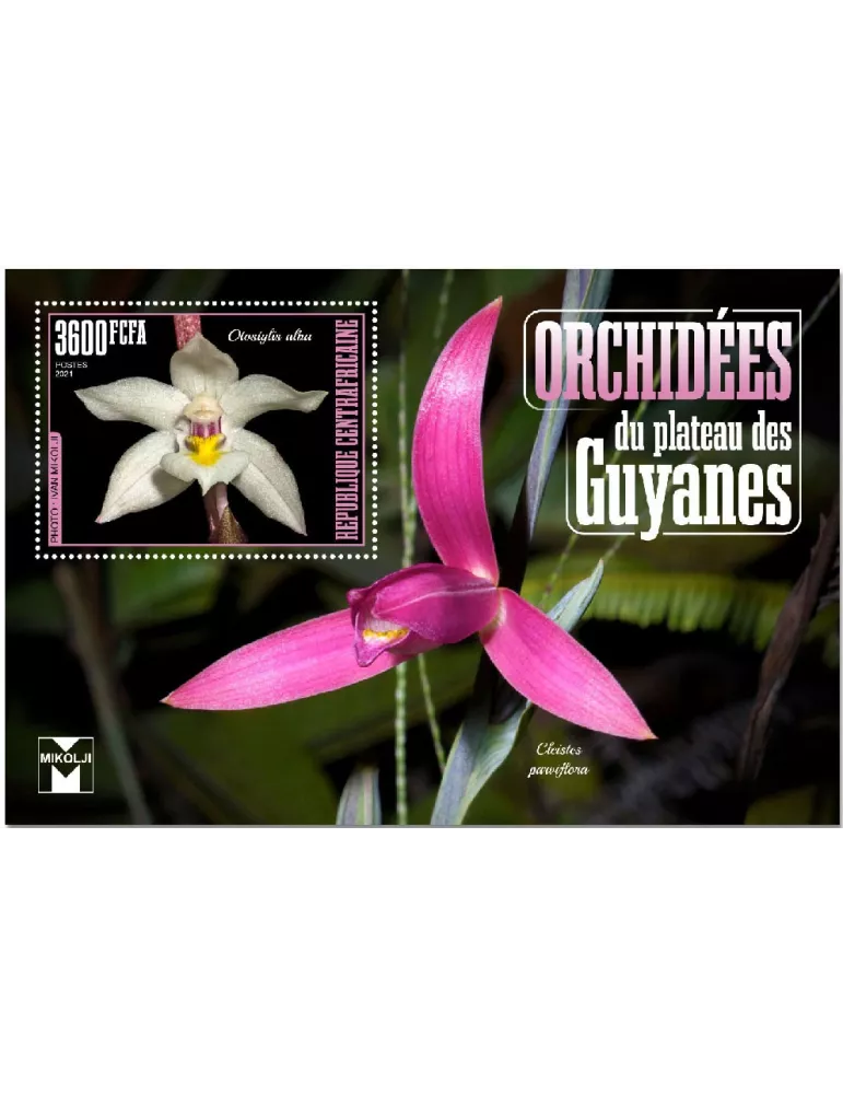 n° 1742  - Timbre CENTRAFRIQUE Blocs et feuillets