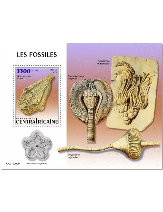 n° 1745  - Timbre CENTRAFRIQUE Blocs et feuillets