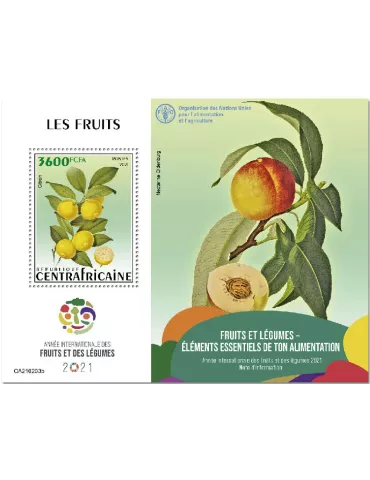 n° 1746  - Timbre CENTRAFRIQUE Blocs et feuillets