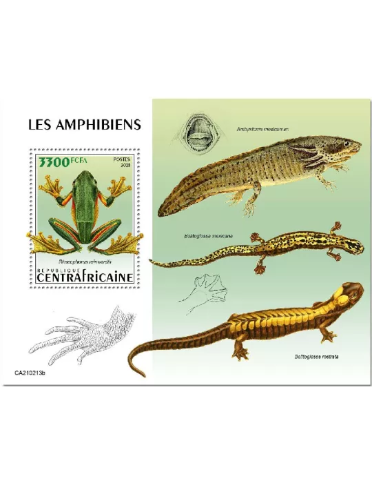 n° 1756  - Timbre CENTRAFRIQUE Blocs et feuillets