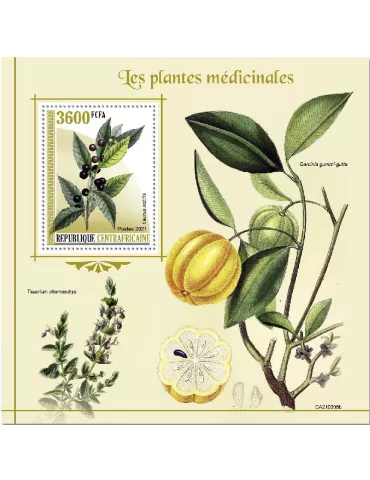 n° 1782  - Timbre CENTRAFRIQUE Blocs et feuillets