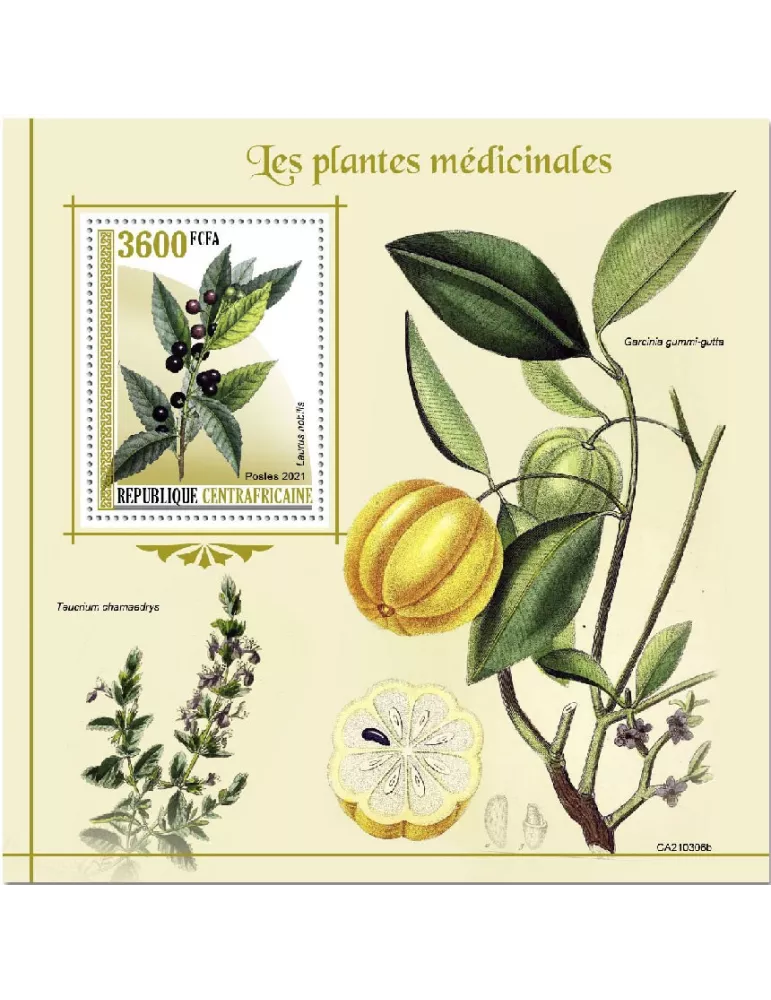 n° 1782  - Timbre CENTRAFRIQUE Blocs et feuillets