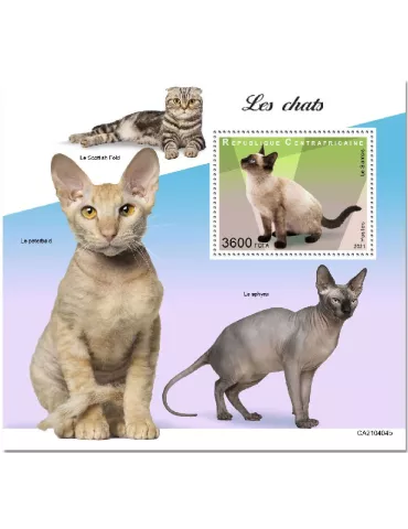 n° 1816  - Timbre CENTRAFRIQUE Blocs et feuillets