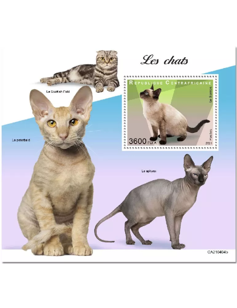 n° 1816  - Timbre CENTRAFRIQUE Blocs et feuillets