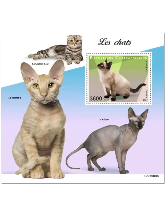 n° 1816  - Timbre CENTRAFRIQUE Blocs et feuillets