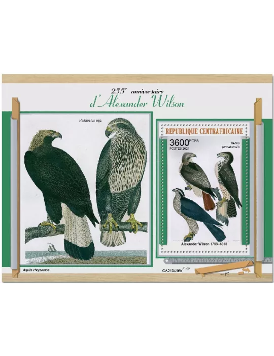 n° 1828  - Timbre CENTRAFRIQUE Blocs et feuillets