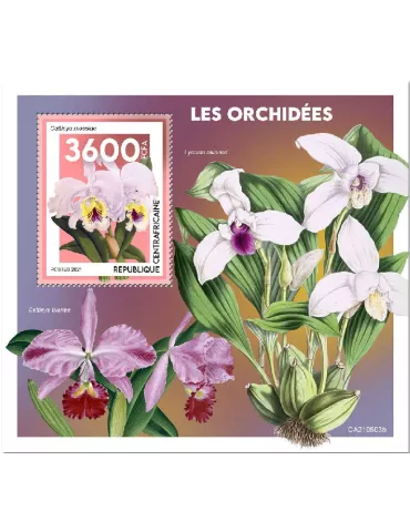 n° 1857  - Timbre CENTRAFRIQUE Blocs et feuillets