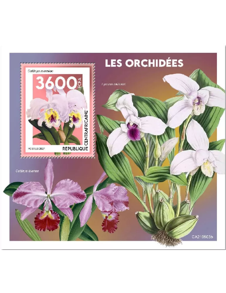 n° 1857  - Timbre CENTRAFRIQUE Blocs et feuillets