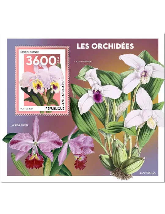 n° 1857  - Timbre CENTRAFRIQUE Blocs et feuillets
