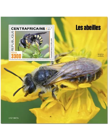 n° 1889  - Timbre CENTRAFRIQUE Blocs et feuillets