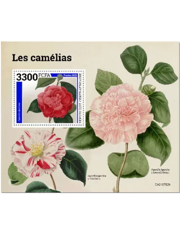 n° 1906  - Timbre CENTRAFRIQUE Blocs et feuillets