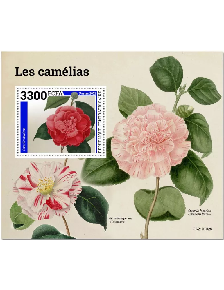 n° 1906  - Timbre CENTRAFRIQUE Blocs et feuillets