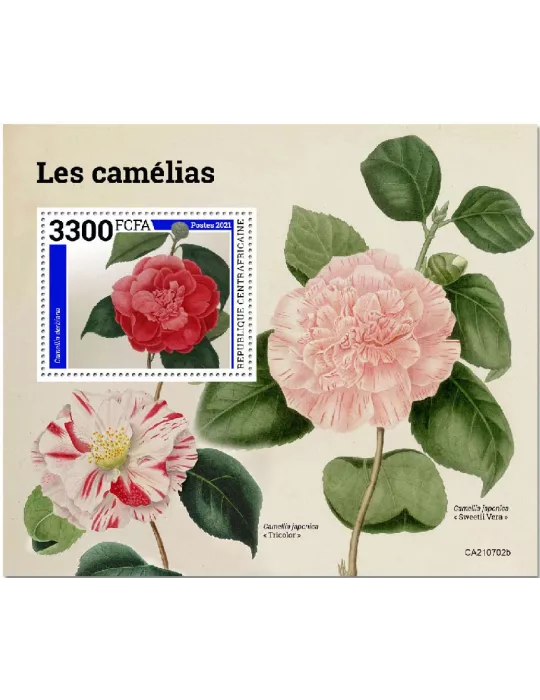 n° 1906  - Timbre CENTRAFRIQUE Blocs et feuillets
