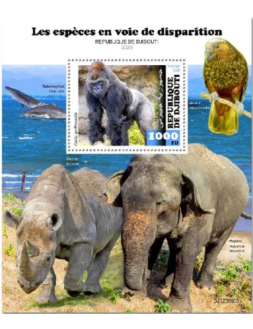 n° 635  - Timbre DJIBOUTI Blocs et feuillets