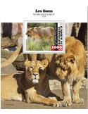 n° 637  - Timbre DJIBOUTI Blocs et feuillets