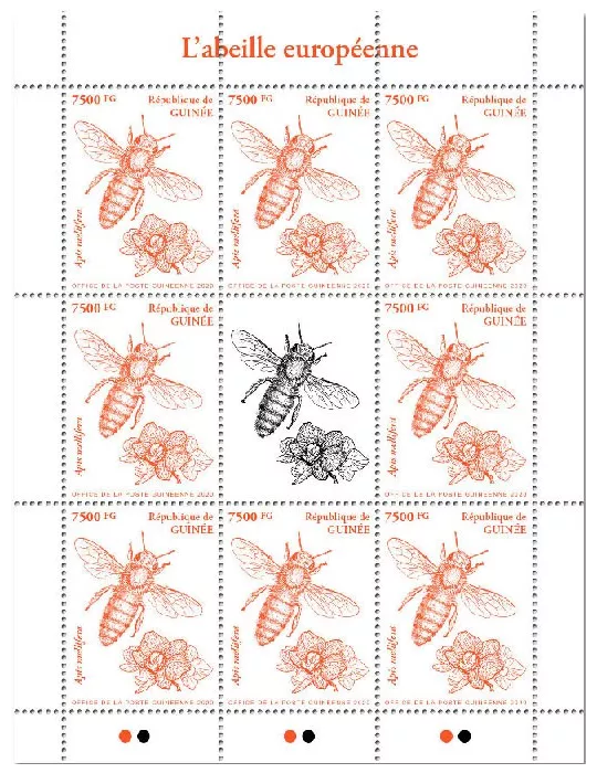 n° 10451  - Timbre GUINEE Poste