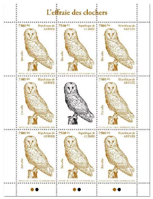 n° 10503  - Timbre GUINEE Poste
