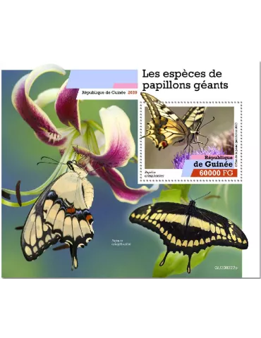 n° 2541  - Timbre GUINEE Blocs et feuillets