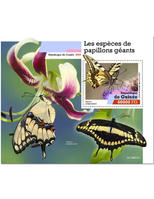 n° 2541  - Timbre GUINEE Blocs et feuillets