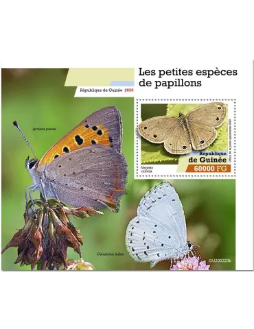 n° 2542  - Timbre GUINEE Blocs et feuillets