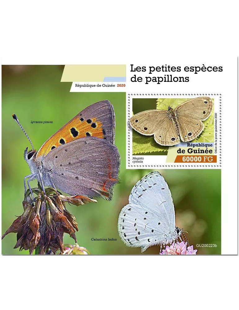 n° 2542  - Timbre GUINEE Blocs et feuillets