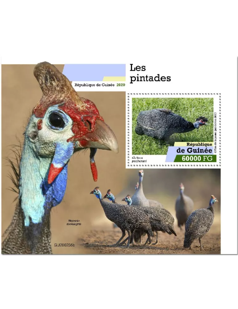 n° 2553  - Timbre GUINEE Blocs et feuillets