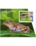 n° 2584  - Timbre GUINEE Blocs et feuillets