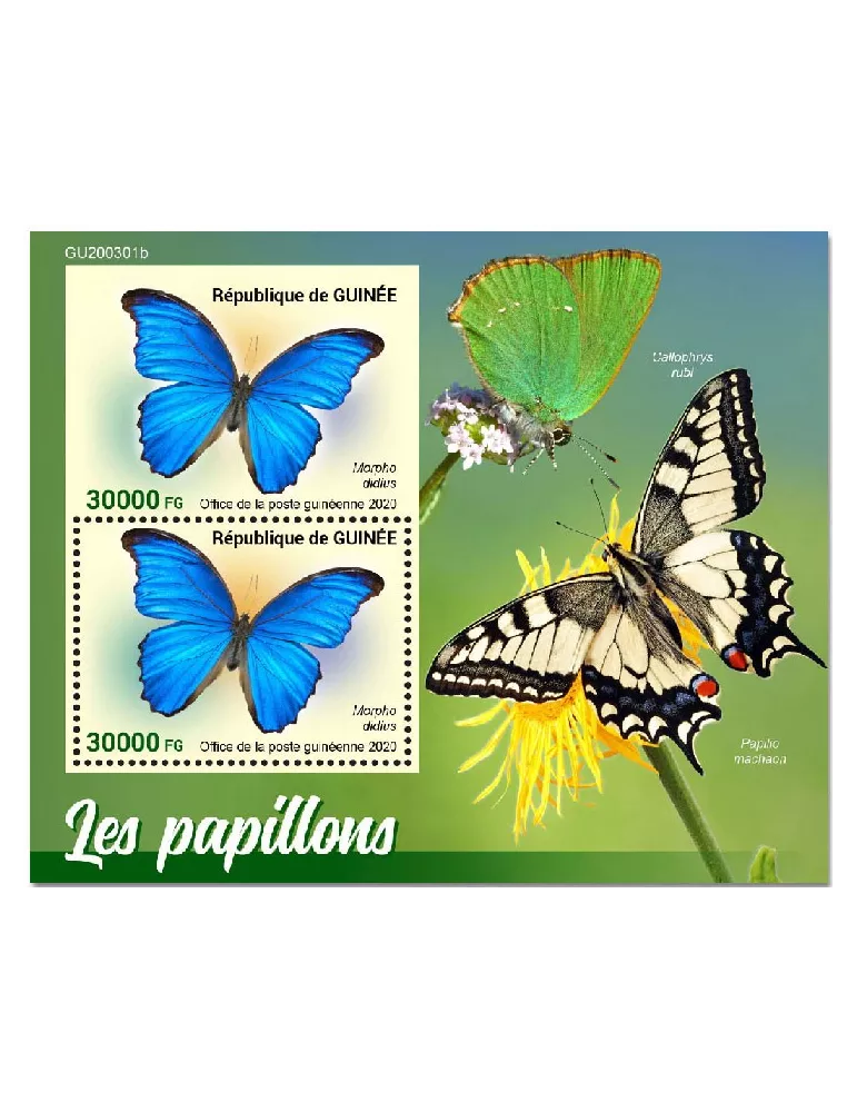 n° 2593  - Timbre GUINEE Blocs et feuillets