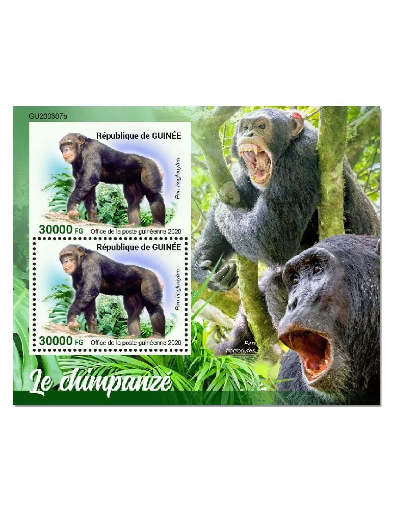 n° 2599  - Timbre GUINEE Blocs et feuillets