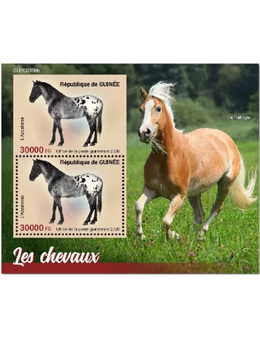 n° 2601  - Timbre GUINEE Blocs et feuillets