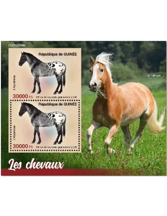 n° 2601  - Timbre GUINEE Blocs et feuillets