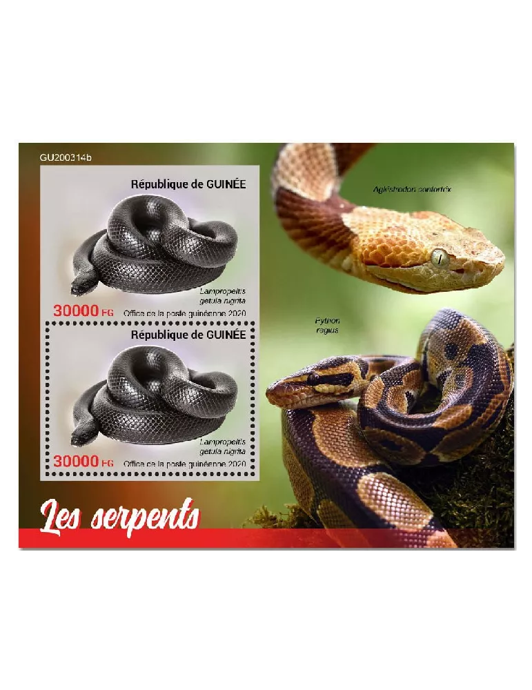 n° 2606  - Timbre GUINEE Blocs et feuillets