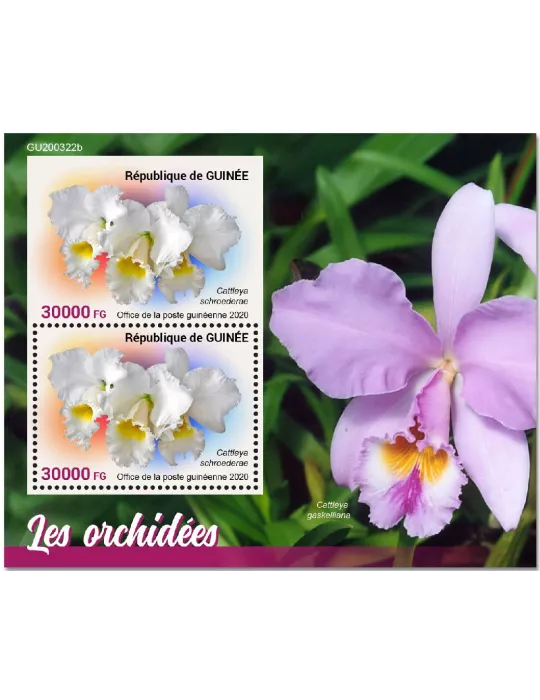 n° 2614  - Timbre GUINEE Blocs et feuillets