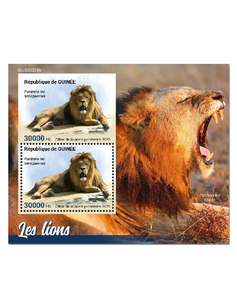 n° 2621  - Timbre GUINEE Blocs et feuillets