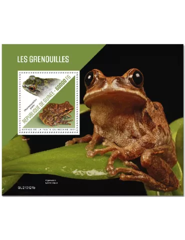 n° 2667  - Timbre GUINEE Blocs et feuillets