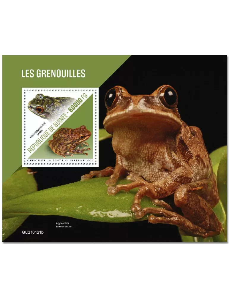 n° 2667  - Timbre GUINEE Blocs et feuillets