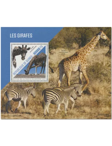 n° 2673  - Timbre GUINEE Blocs et feuillets