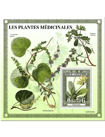 n° 2704  - Timbre GUINEE Blocs et feuillets