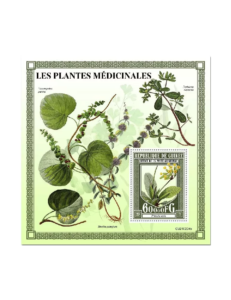 n° 2704  - Timbre GUINEE Blocs et feuillets