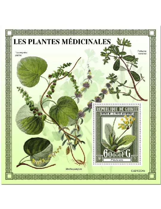n° 2704  - Timbre GUINEE Blocs et feuillets
