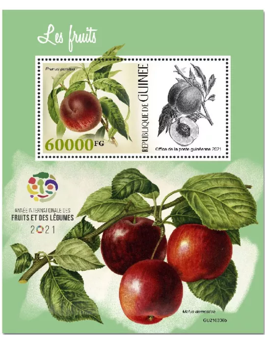 n° 2767  - Timbre GUINEE Blocs et feuillets