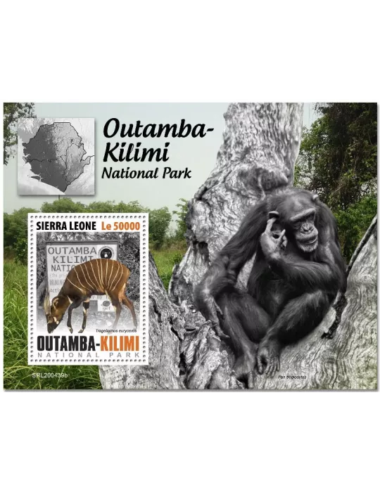 n° 1974  - Timbre SIERRA LEONE Blocs et feuillets