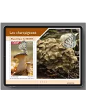 n° 1202  - Timbre NIGER Blocs et feuillets